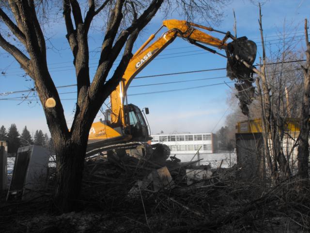 Edmonton Infill Saving trees on Construction sites